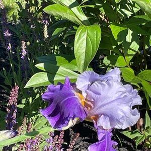 Meet your Posher, Esther